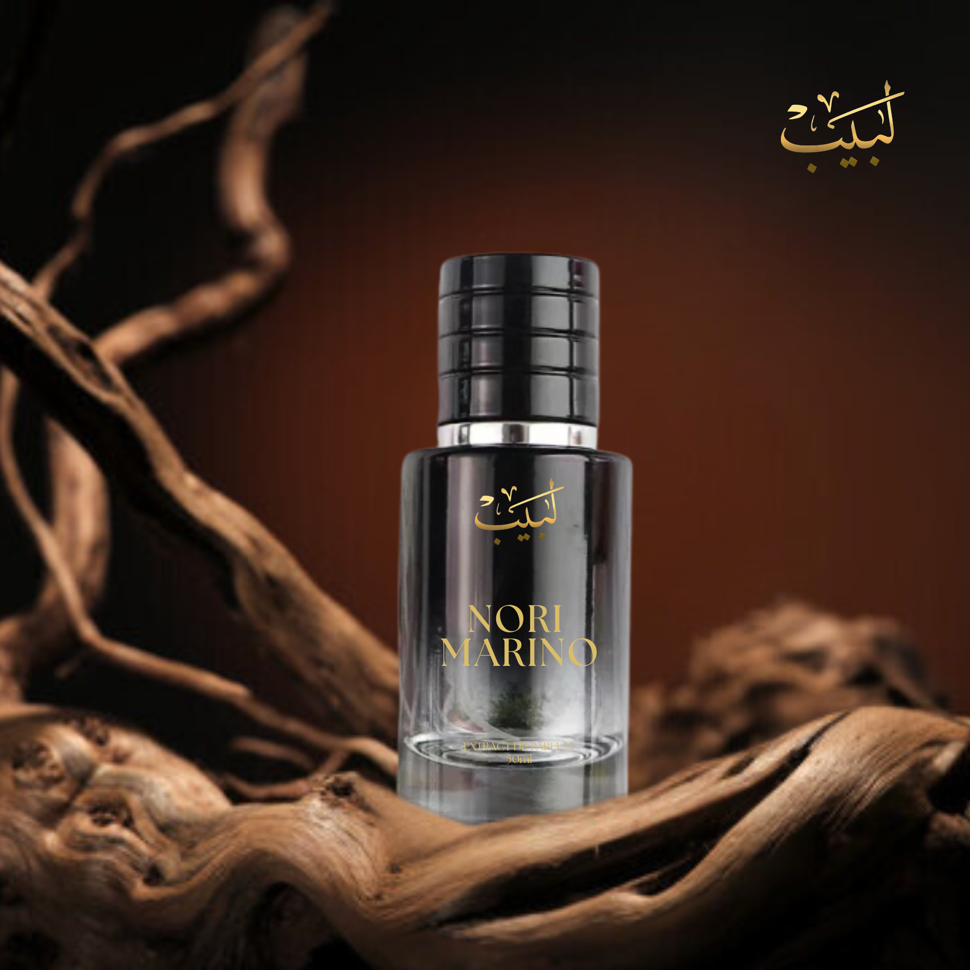 Ameer Al Oud (46)
